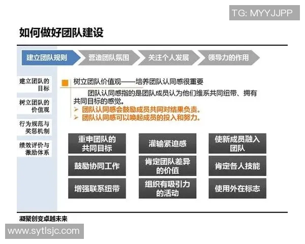 杭州网球队的崛起与发展探讨聚焦团队力量与未来潜力